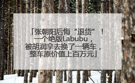 张朝阳后悔“退货”！一个绝版Labubu，被胡润拿去换了一辆车，整车原价值上百万元